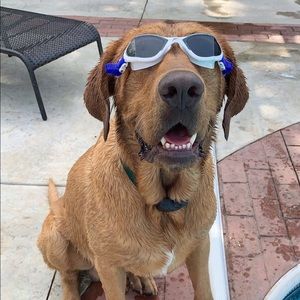 Meet your Posher, Blake